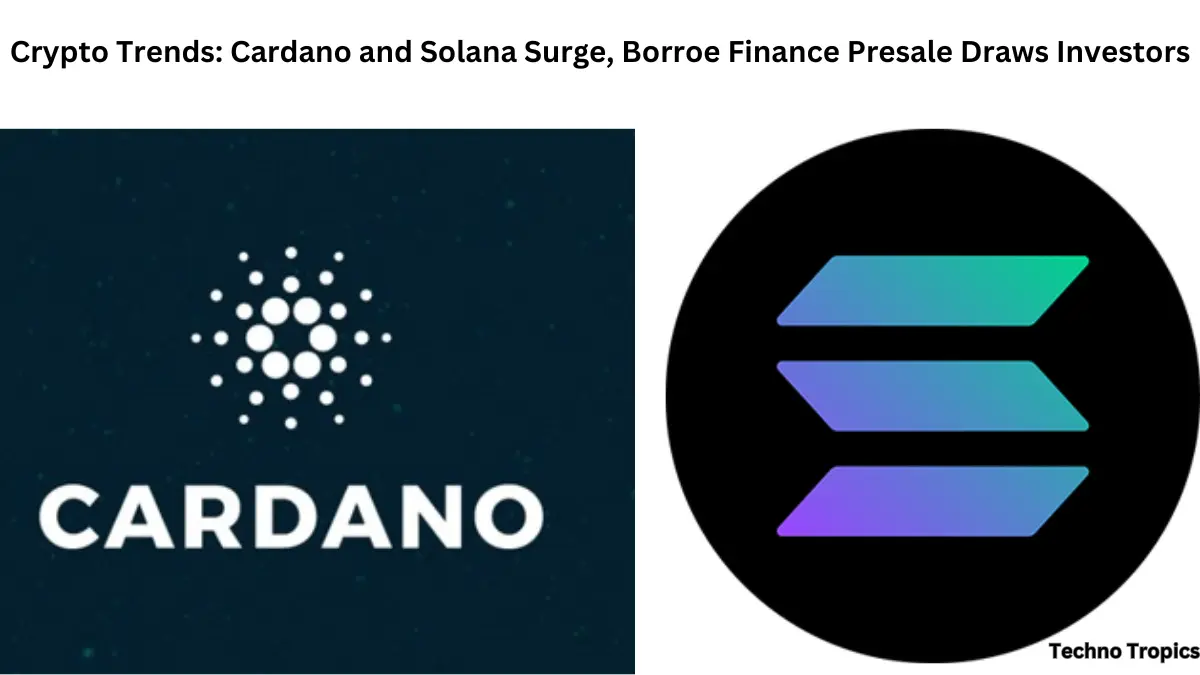 Crypto Trends: Cardano and Solana Surge, Borroe Finance Presale Draws Investors
